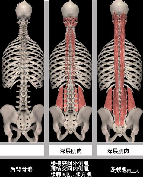 腰氣結|令人氣結的腰部氣結